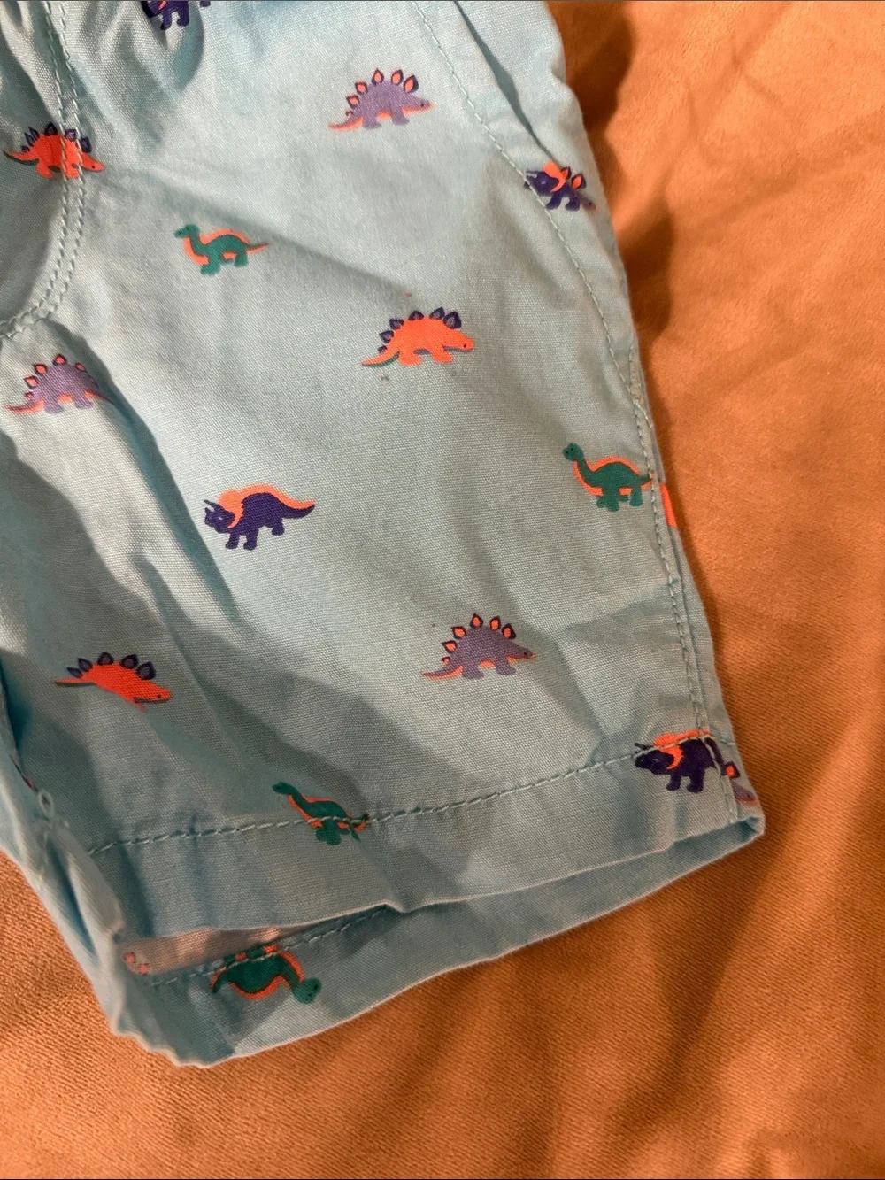 The Children's Place Light Blue Dino Swim Shorts